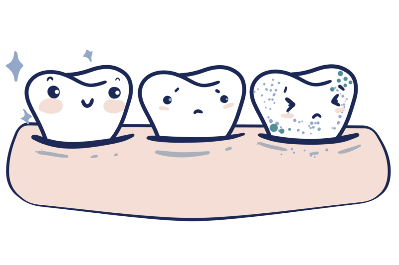 Three illustrated teeth in a row set in the gums with sparkles around them.