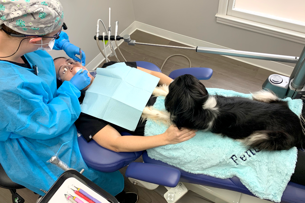 dentist cleaning girls teeth with dog on her lap