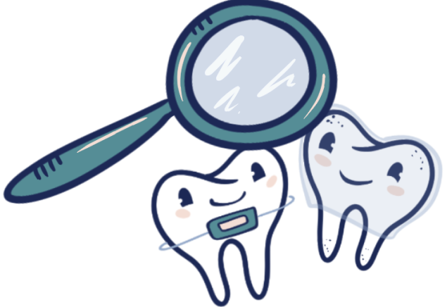 Cartoon illustration of two happy looking teeth using a magnifying glass.