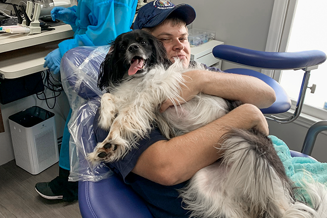 Benefits of a Therapy Dog in Dental Care