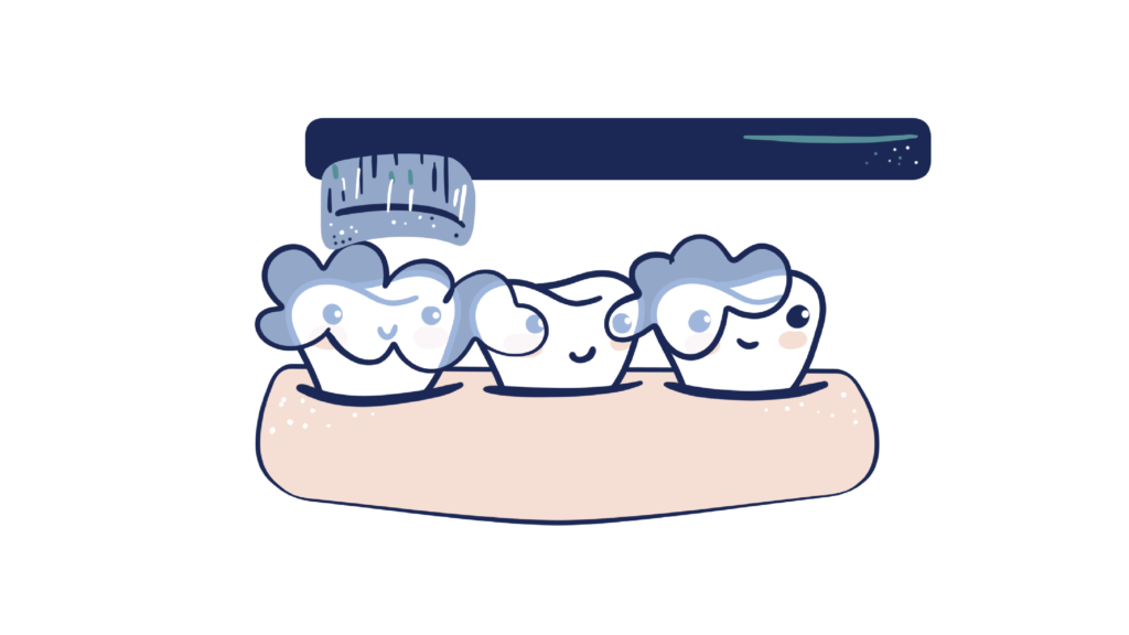 three happy, illustrated teeth in gums being brushed by tooth brush