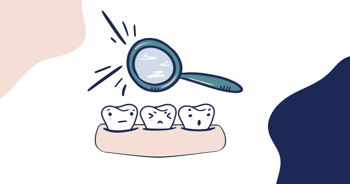 Cartoon teeth under examination with a magnifying glass, symbolizing how dental hygienists screen for oral health issues as part of preventative dental care at Bass Dentistry.