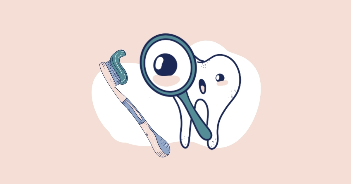 A smiling cartoon tooth and toothbrush under a magnifying glass, illustrating how dental hygienists support oral hygiene and preventative dental care at Bass Dentistry.