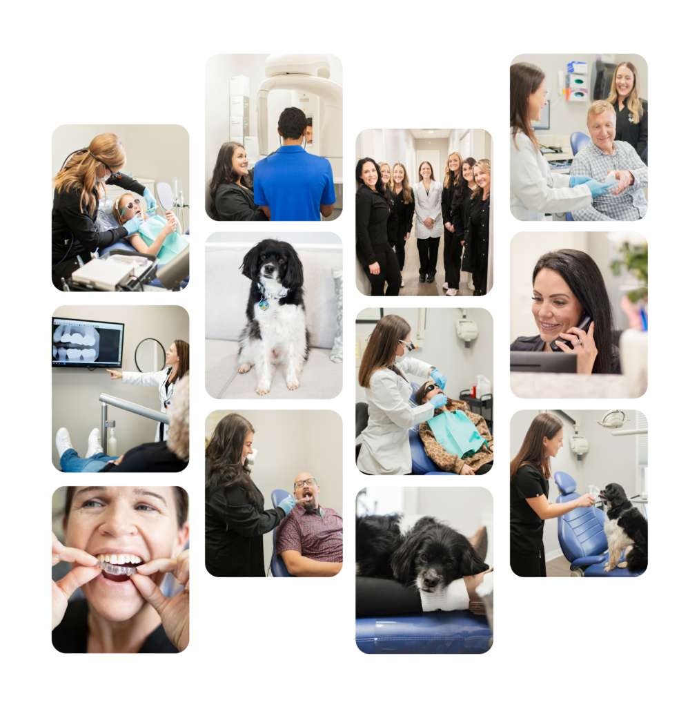 A collage of images showcasing a welcoming dental office, with friendly staff, modern dental equipment, and a comforting environment, including a therapy dog. The photos highlight patient care, consultations, and procedures, emphasizing the expertise and patient-friendly approach of a Gastonia family dentist.